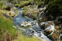 115 Ruisseau (Waimangu) B