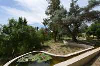 43 - Jardin Aaron Jean Marie Lustiger - Abu Gosh - Emmaüs - Abbaye bénédictine Sainte Marie de la Résurrection