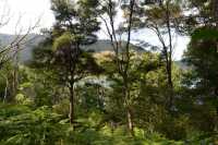 095 Queen Charlotte Sound - Anakiwa B