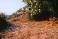 488 Via Campana entre Cumes et Anxur