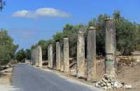 58 Colonnes des portiques abritant les boutiques de la rue principale