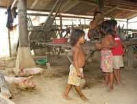 16-Enfants & cochons