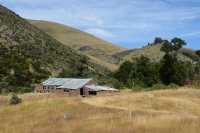 28 Quailburn Woolshed (± 1920) Benmore Run, Ahuriri Park