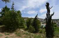 46 Abu Gosh - Emmaüs