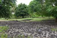 098 Marae Hititai (Taputapuatea)