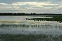 26 Mamukala le matin