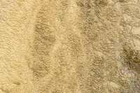 50 Mammoth Hot Spring Terraces B