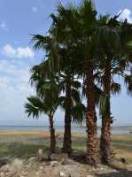 59 Le lac de Tibériade près de Magdala