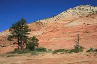 51 Utah vers Brice *