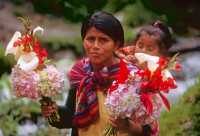 143 De Cuzco au Machu Picchu