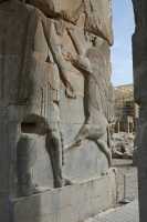 056 Hall des 100 colonnes