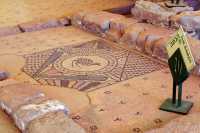 35 Mosaïque - Poule d'eau