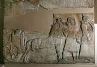 027 - Téglat-Phalasar III et son char (± 728)