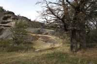 27 Près de la Cueva del Milodon