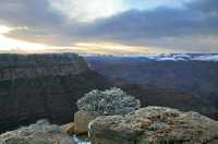 54 Gd Colorado Neige