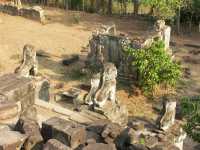 23-Lions vus du haut