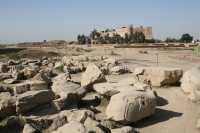 032 Suse - Adapana B *