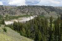 80 Yellowstone River (Près de Tower Creek River)
