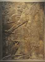 14 Palais N.O. d'Asurnasirpal (883-859) à Nimrud
