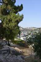 18 Sol ancien de St. Pierre in gallicantu, le Temple & le mont des oliviers