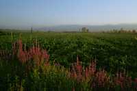 362 De Thessalonique à Bérée