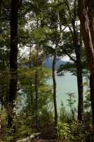 081 Queen Charlotte Sound - Anakiwa B