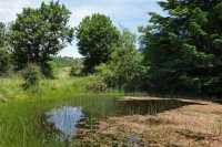 38 Le Mazel Bouissy - Mare