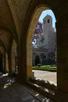 14 Cloître & Eglise- Abbaye de Fontfroide