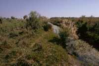 078 Nippur Canal