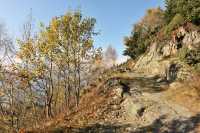 53 Vers Pierre Blanche