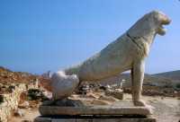 608 Delos - Lions archaïques (7° s)
