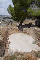 61 Le champ des bergers