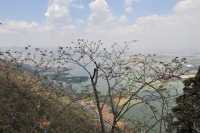 063 Colline de l'Ouest