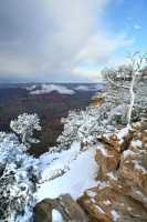 42 Gd Colorado Neige