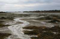 121 Nord de la grande grève B