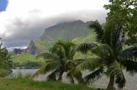 71 Baie de Cook (Paopao)