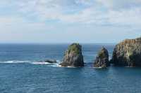 27 Sortie de Queen Charlotte Sound