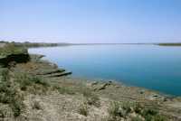 829 L'Euphrate entre Zénobia et le lac Assad