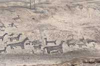 137 Géoglyphes Détail (extr. droite)