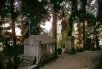 465 Près de l'Amphithéâtre