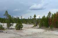 07 Norris Geyser Basin