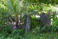022 Marae - Baie de Faanui
