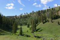23 Vallée près de l'arbre pétrifié