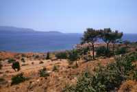 630 Samos cap Mycale