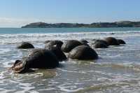 29 Boulders de Moeraki