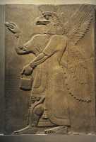 10 Palais N.O. d'Asurnasirpal (883-859) à Nimrud