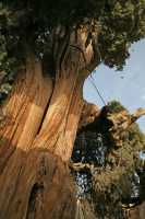 109 Village zoroastrien