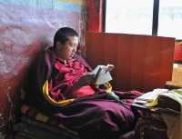 48 Jeune moine priant