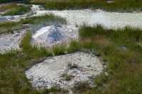 056 A West Thumb Geyser Basin