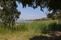 64 Le lac de Tibériade à Tabgha-Dalmanutha